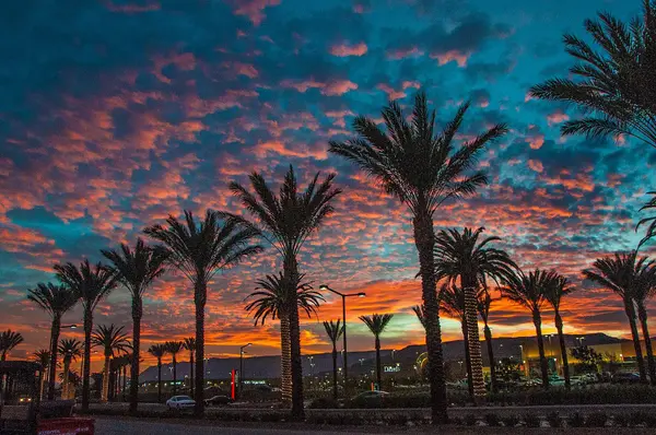 Summerlin vs Henderson: Which Las Vegas Area Is Better for Homebuyers?
