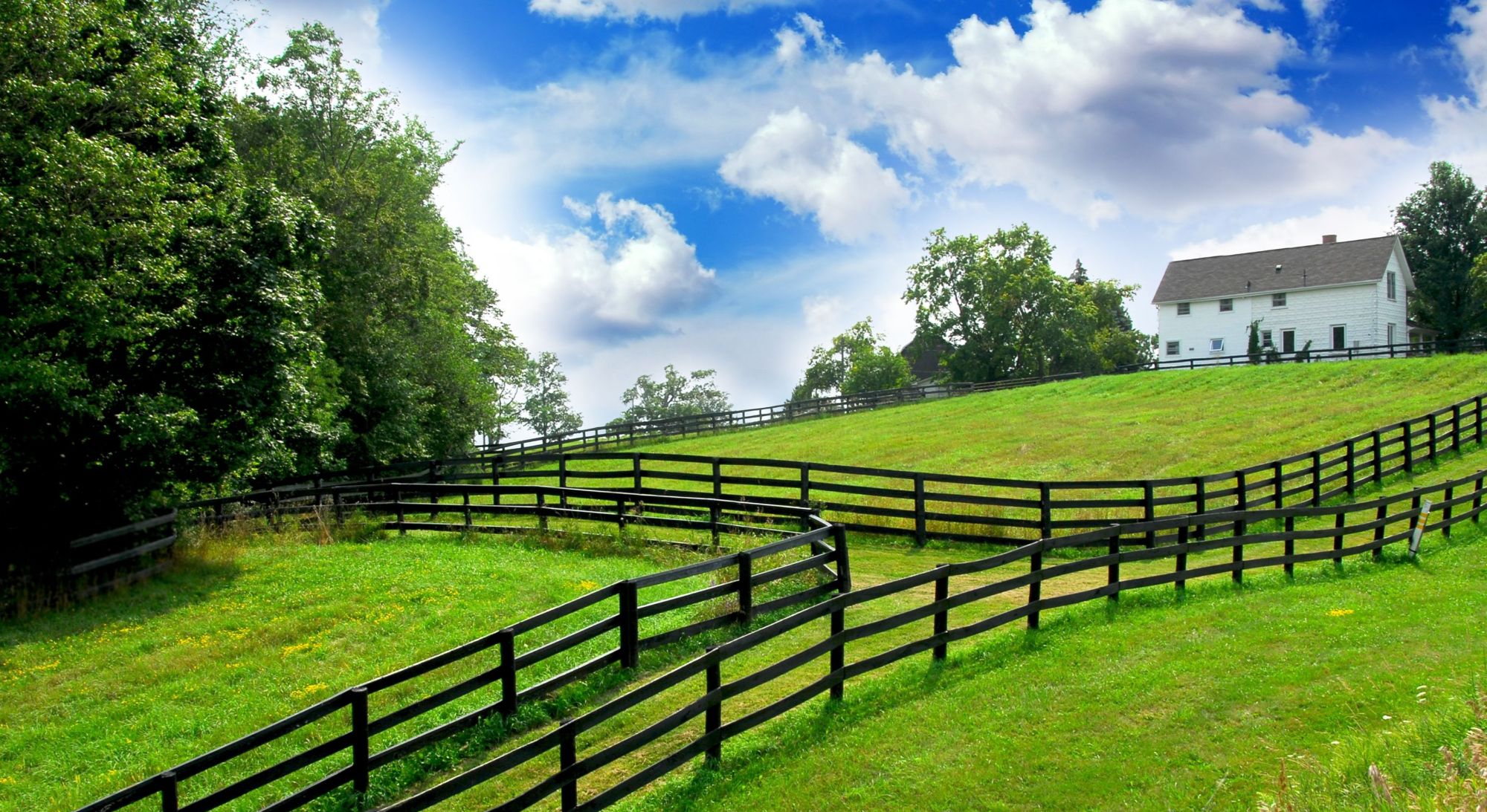 Katelyn Edgar Realtor Richmond Virginia Real Estate Agent Deborah Edgar Real Estate Group (15)