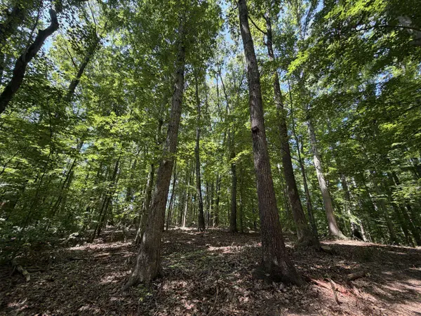 LOT 4A PARRISH RD, Louisa, VA 23093