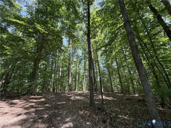 Lot 4A Parrish RD, Louisa, VA 23093
