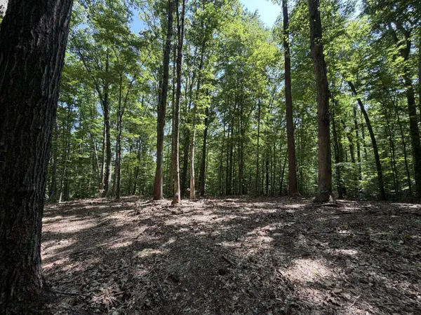LOT 4A PARRISH RD, Louisa, VA 23093