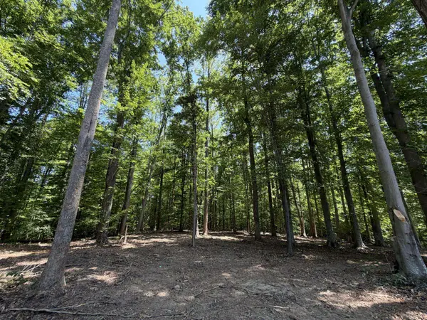 LOT 4A PARRISH RD, Louisa, VA 23093