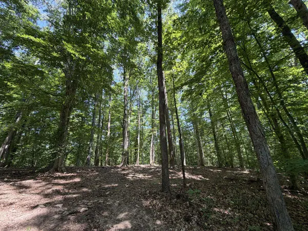LOT 4A PARRISH RD, Louisa, VA 23093