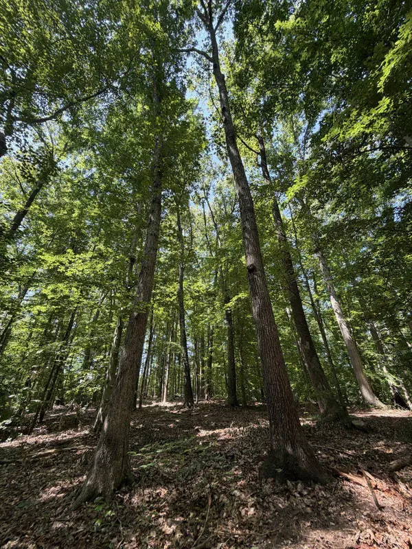 LOT 4A PARRISH RD, Louisa, VA 23093