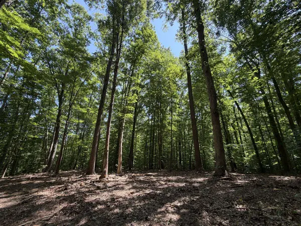 LOT 4A PARRISH RD, Louisa, VA 23093