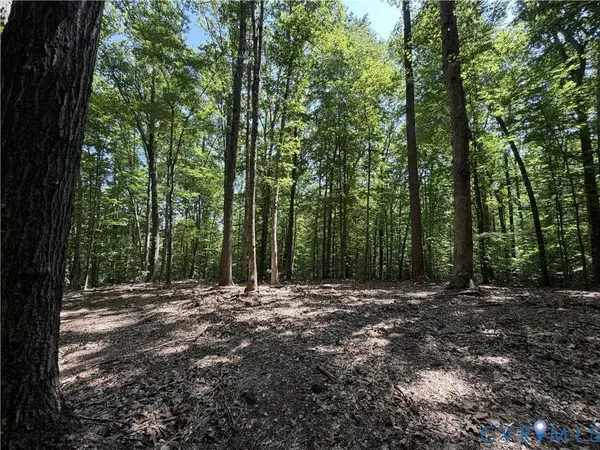 Lot 4A Parrish RD, Louisa, VA 23093