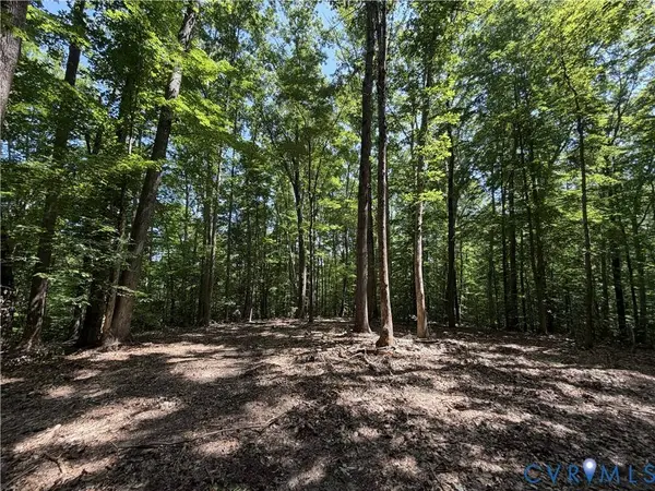 Lot 4A Parrish RD, Louisa, VA 23093