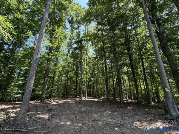 Lot 4A Parrish RD, Louisa, VA 23093