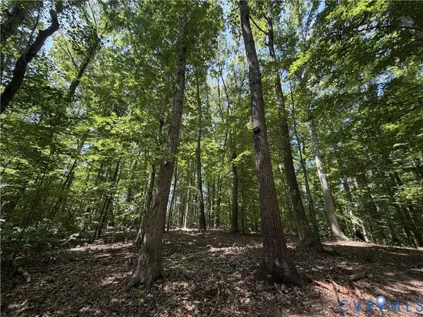 Lot 4A Parrish RD, Louisa, VA 23093