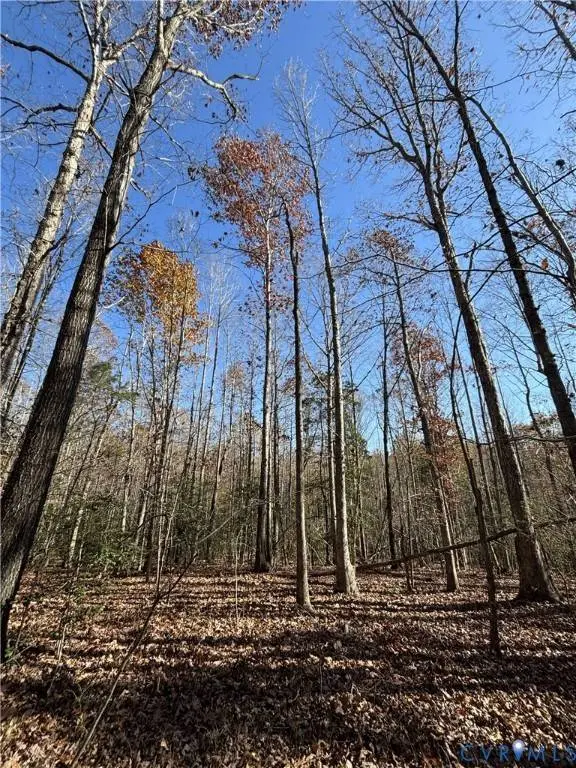 Lot 4 Diggstown Rd, Bumpass, VA 23024