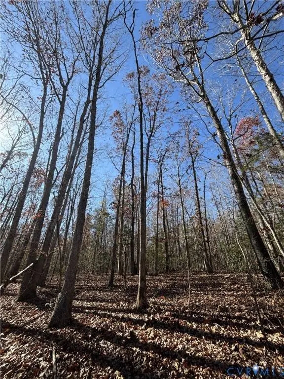 Lot 4 Diggstown Rd, Bumpass, VA 23024