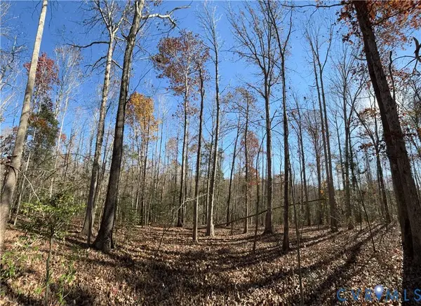 Lot 4 Diggstown Rd, Bumpass, VA 23024