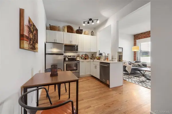 1425 N Washington ST #302, Denver, CO 80203