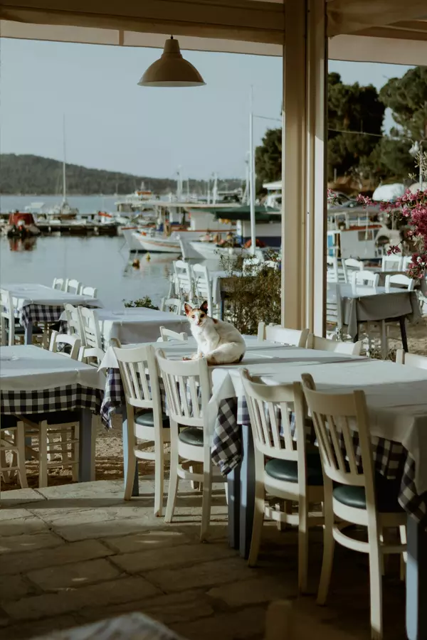 South Florida Waterfront Real Estate Market Trends in 2025,David Cohn