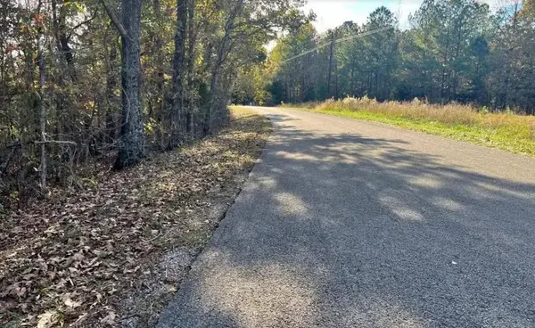 5030 SAND MOUNTAIN RD, Enville, TN 38332