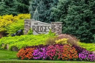 The Ridges