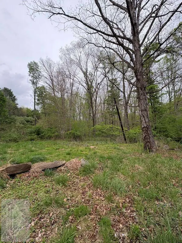128 Triple C Rd, Princeton, WV 24739