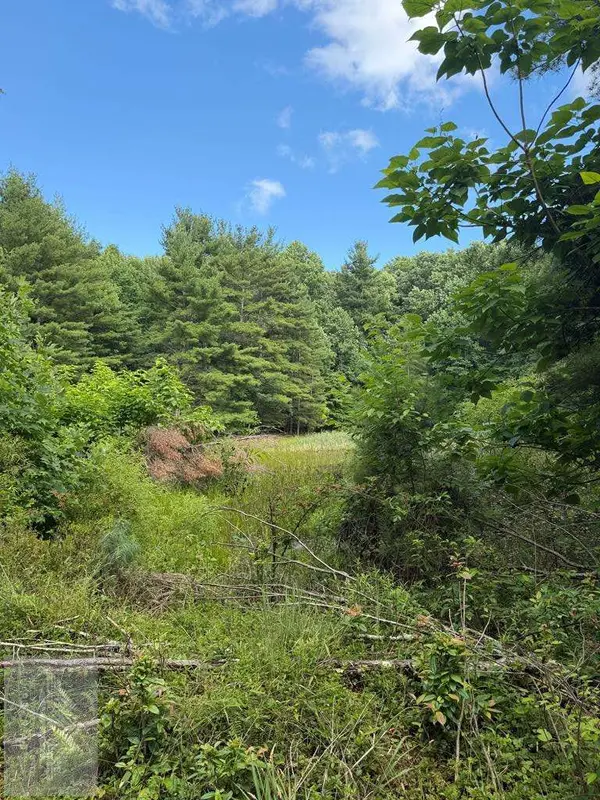 0 Cornbread Ridge, Princeton, WV 24739