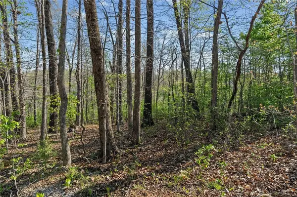 Lot 28 | Block 7 Nottingham Dr, Bella Vista, AR 72715