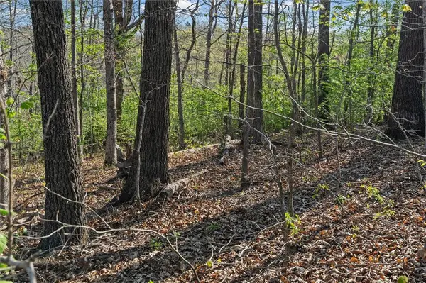 Lot 28 | Block 7 Nottingham Dr, Bella Vista, AR 72715