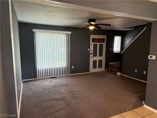 294 E 235th ST, Euclid, OH 44123