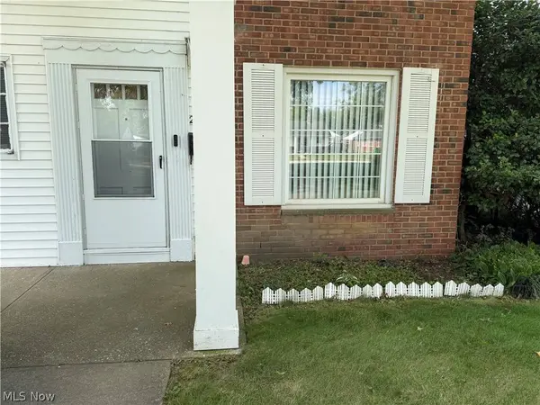 294 E 235th ST, Euclid, OH 44123