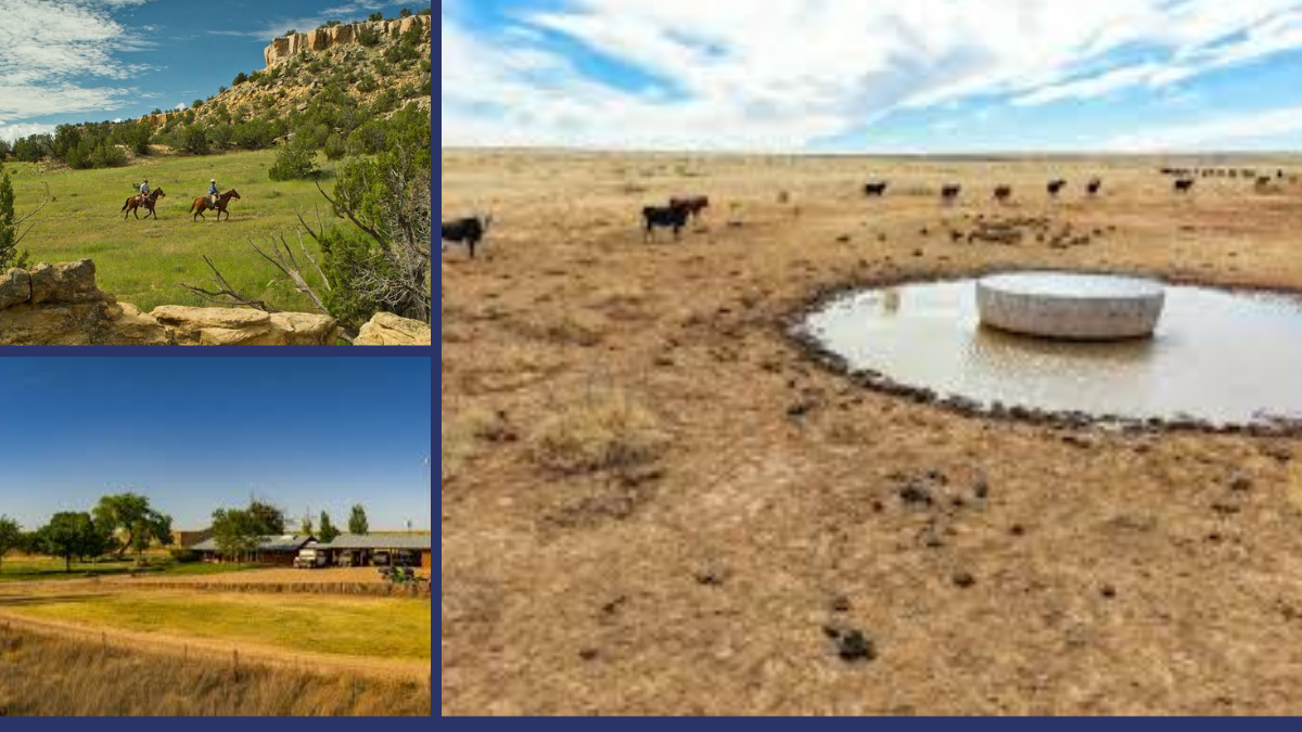 Double V Ranch Largest Ranch in New Mexico