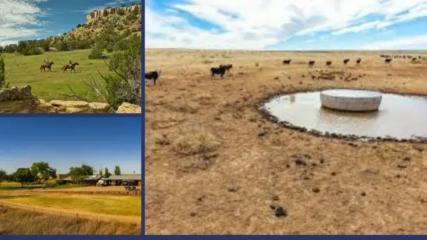 The Largest Ranch in New Mexico for Sale: An Albuquerque Realtor's Guide