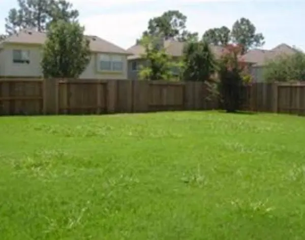 14303 Oak Chase DR, Houston, TX 77062