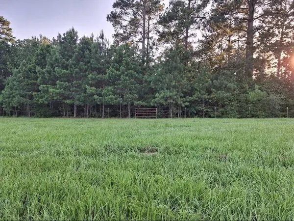 282 BLK 12 Lakeland Ranch, Hillister, TX 77624