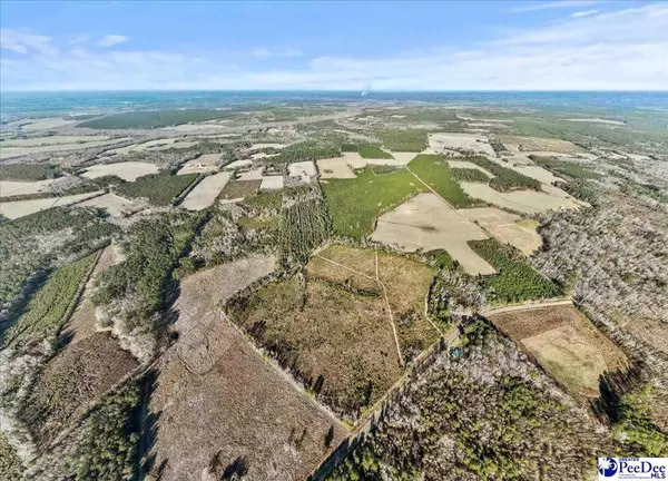 TBD Witherspoon Road, Kingstree, SC 29556