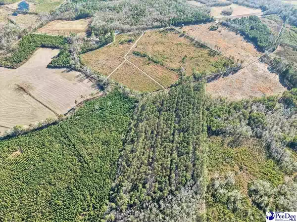 TBD Witherspoon Road, Kingstree, SC 29556