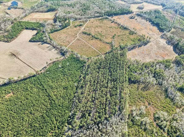 TBD Witherspoon Rd., Kingstree, SC 29556