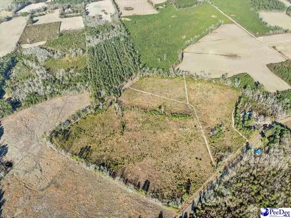 TBD Witherspoon Road, Kingstree, SC 29556