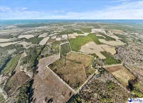 TBD Witherspoon Road, Kingstree, SC 29556