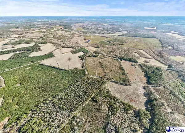 TBD Witherspoon Road, Kingstree, SC 29556