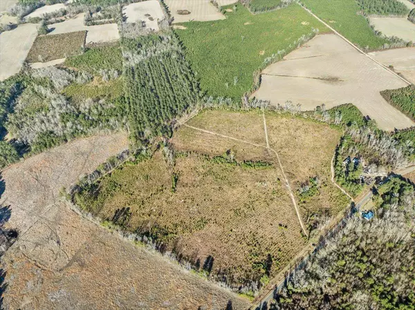 TBD Witherspoon Rd., Kingstree, SC 29556