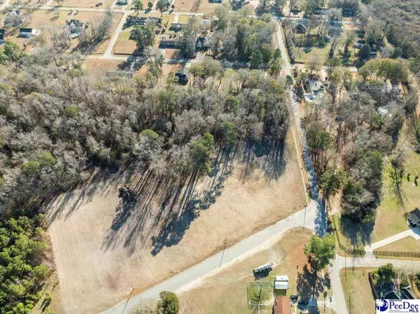 Lot 1 TBD Green Street, Turbeville, SC 29162