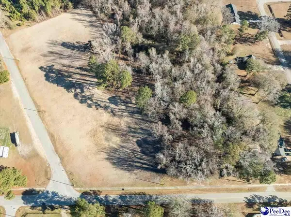 Lot 4 TBD Atkinson Street, Turbeville, SC 29162
