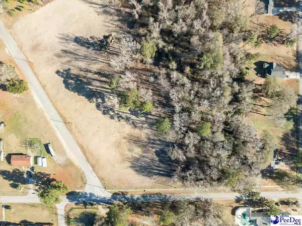 Lot 5 TBD Atkinson Street, Turbeville, SC 29162