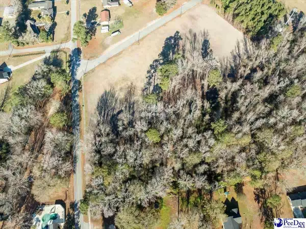 Lot 1 TBD Green Street, Turbeville, SC 29162