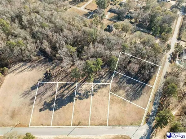 Lot 4 TBD Atkinson Street, Turbeville, SC 29162