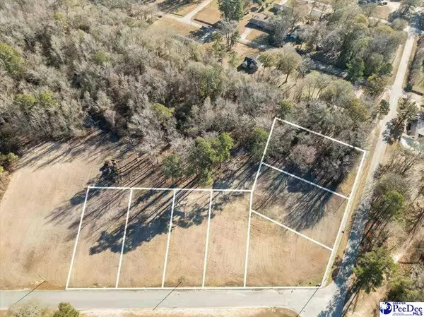 Lot 1 TBD Green Street, Turbeville, SC 29162