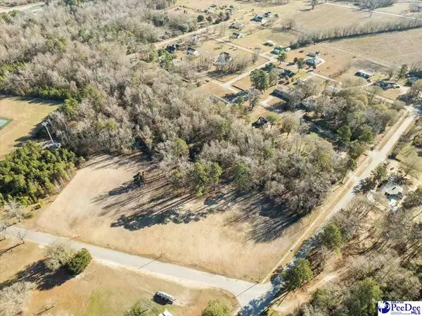 Lot 4 TBD Atkinson Street, Turbeville, SC 29162