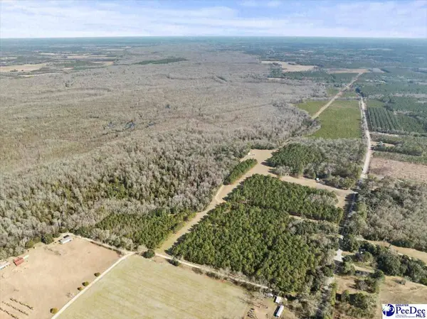 8035 Kingstree Hwy, Manning, SC 29102