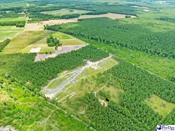 Lot 3 TBD Cockfield Road, Scranton, SC 29591
