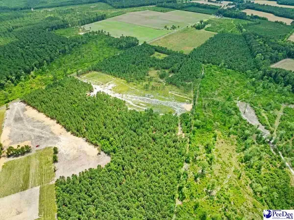 Lot 3 TBD Cockfield Road, Scranton, SC 29591