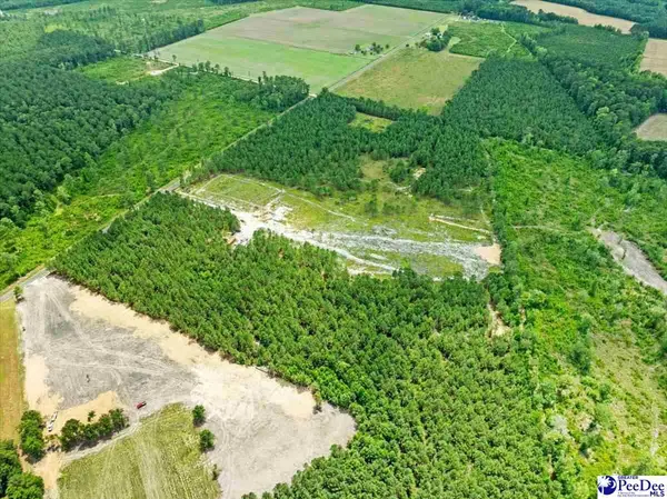 Lot 1 TBD Cockfield Road, Scranton, SC 29591