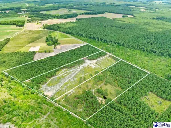 Lot 1 TBD Cockfield Road, Scranton, SC 29591