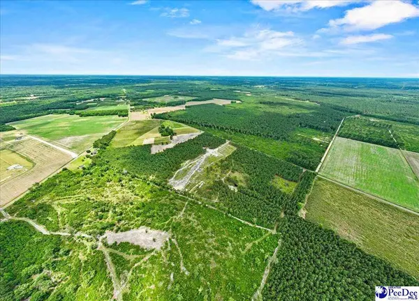 Lot 3 TBD Cockfield Road, Scranton, SC 29591
